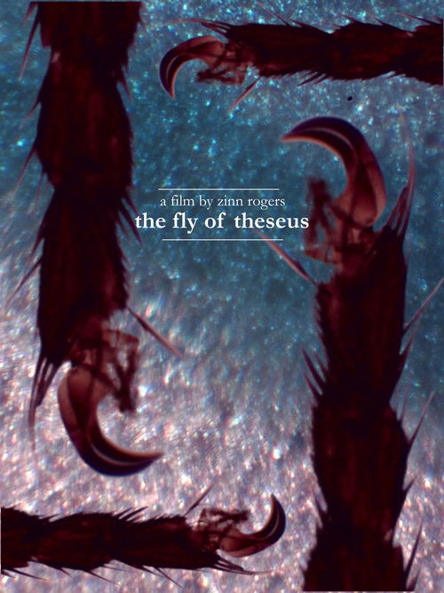 The Fly of Theseus (2026) - film poster
