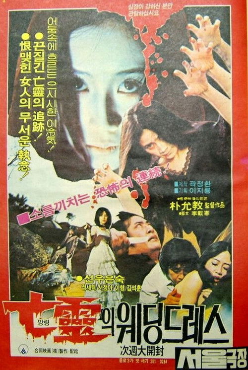 The Haunted Wedding Dress (1981) - film poster