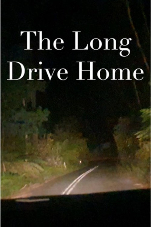 The Long Drive Home (2024) - film poster