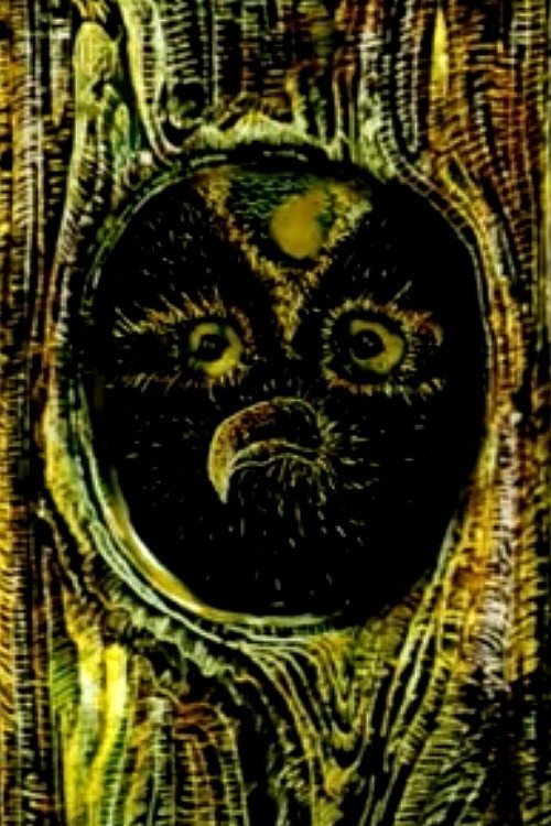 The Night Wood (2008) - film poster, directed by Kim Kang-min