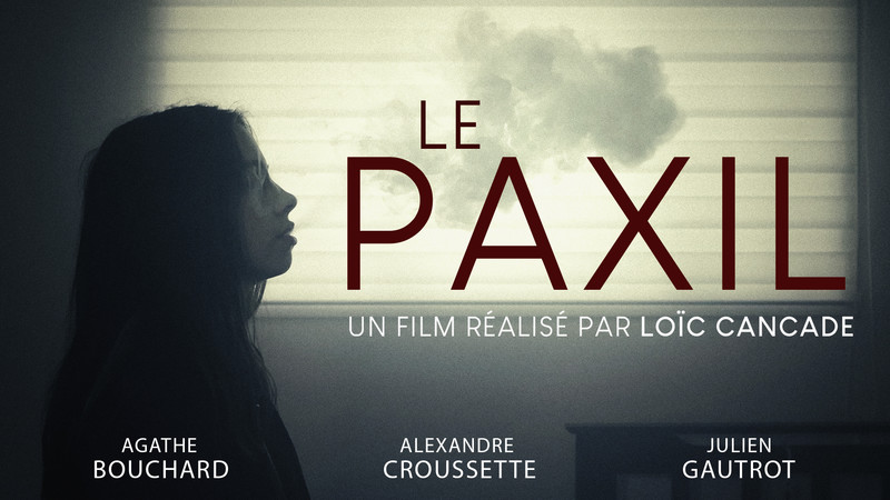 The Paxil