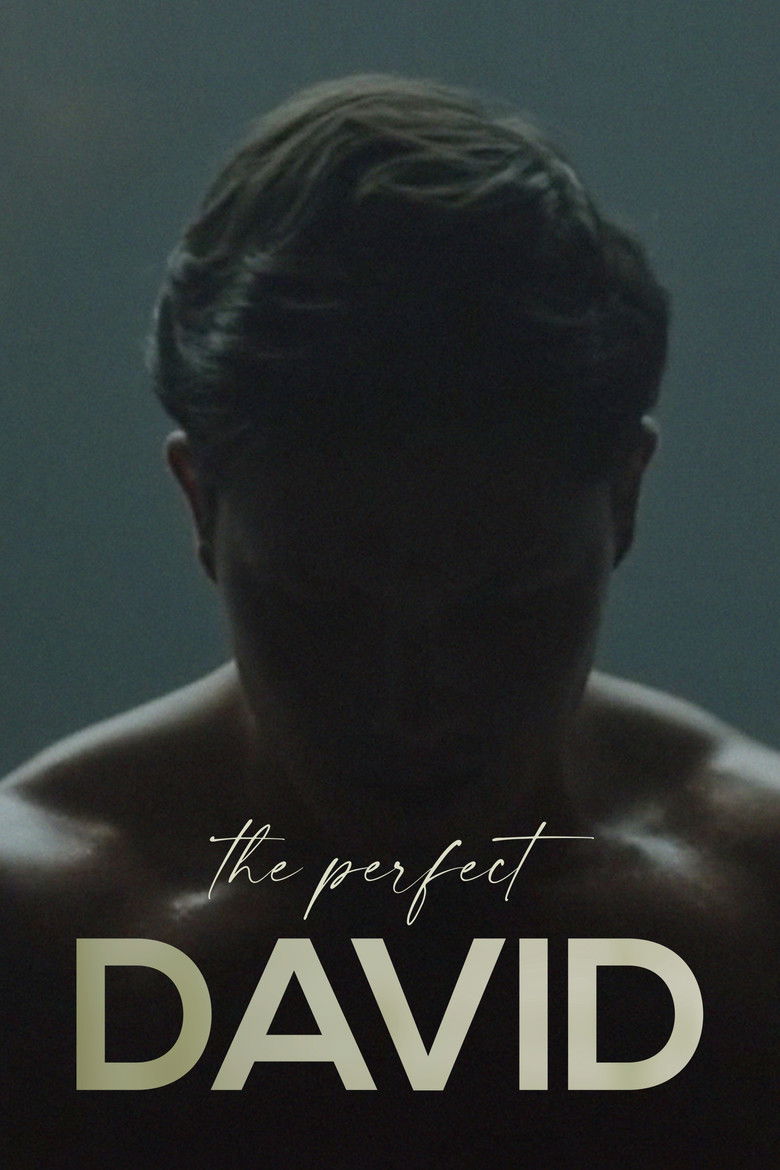 The Perfect David (2021) - film poster, directed by Felipe Gómez Aparicio