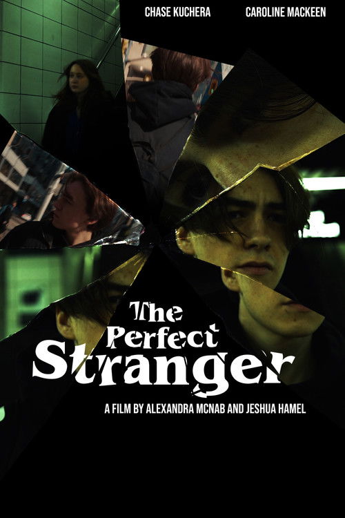 The Perfect Stranger (2023) - film poster