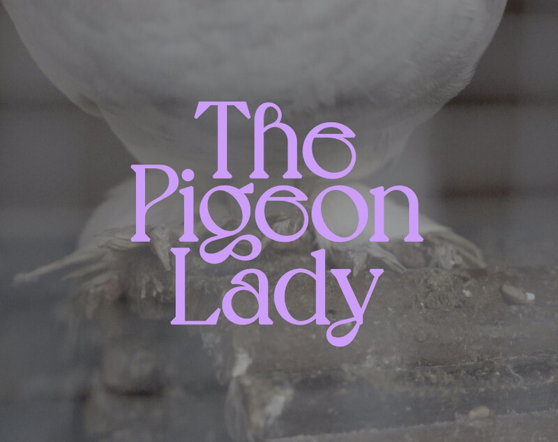 The Pigeon Lady