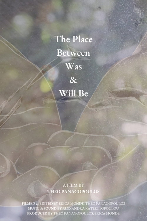 The Place Between Was & Will Be