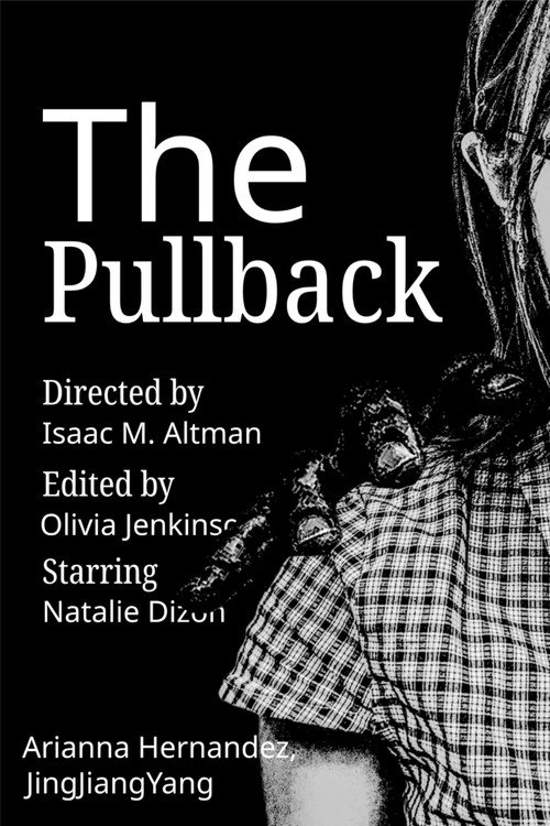 The Pullback (2026) - film poster