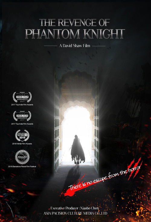 The Revenge of Phantom Knight (2018) - film poster
