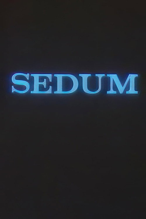 The Seven (1989) — film poster, directed by Ondřej Trojan