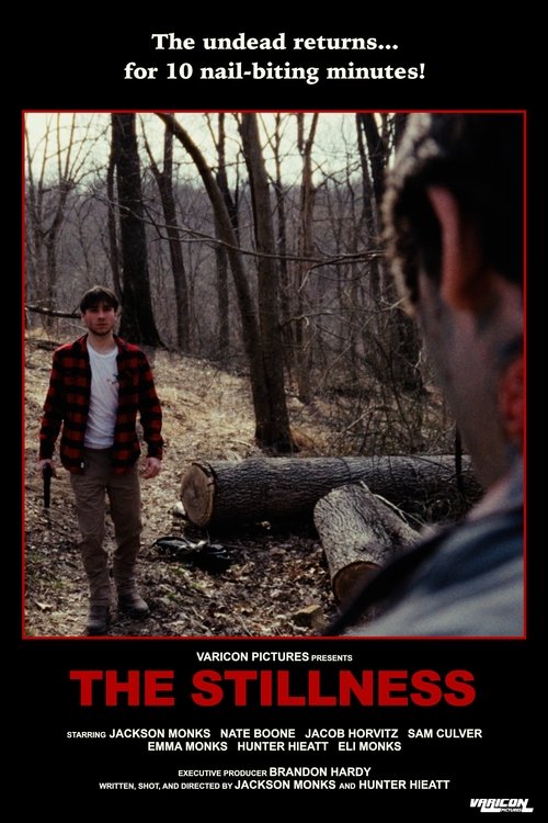 The Stillness (2025) - film poster