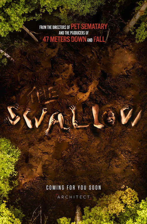The Swallow (2026) - film poster