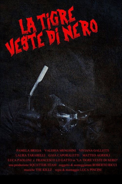 The tiger wears black (2023) - film poster
