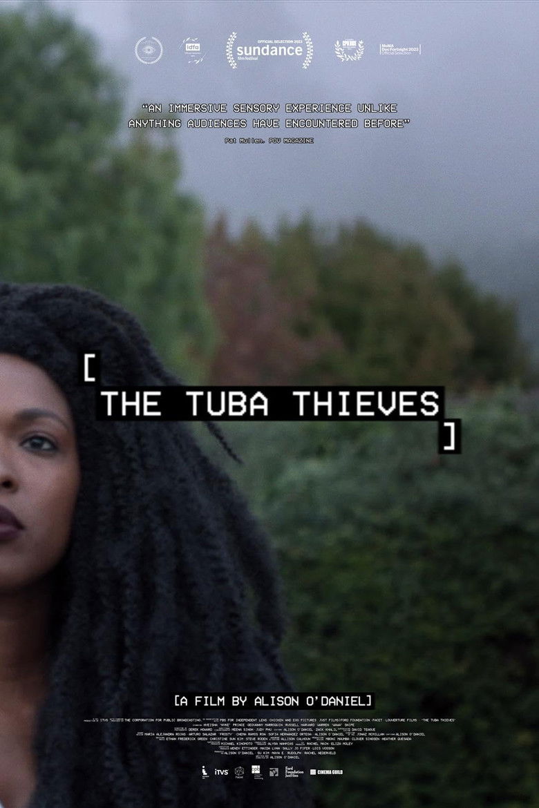 Les Voleurs de tubas