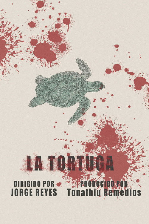 The Turtle (2025) - film poster