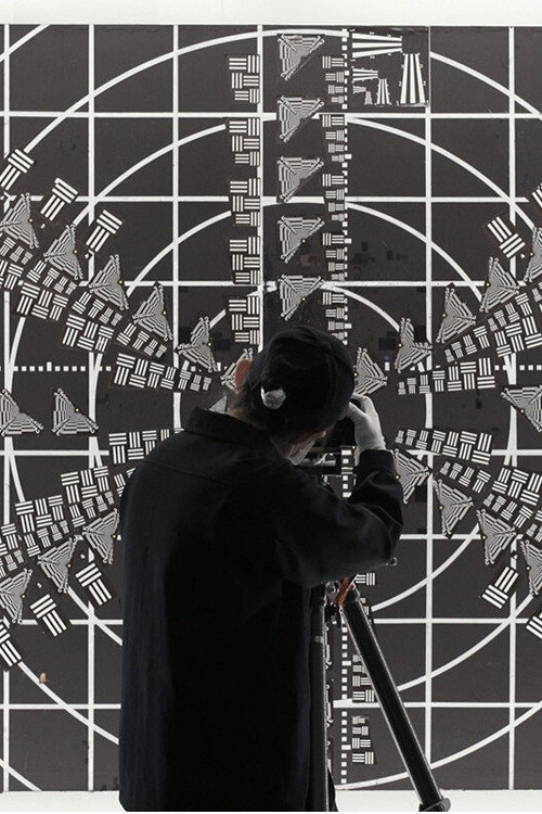 The Vision Machine