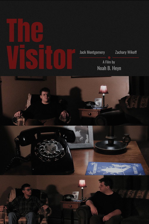 The Visitor (2026) - film poster