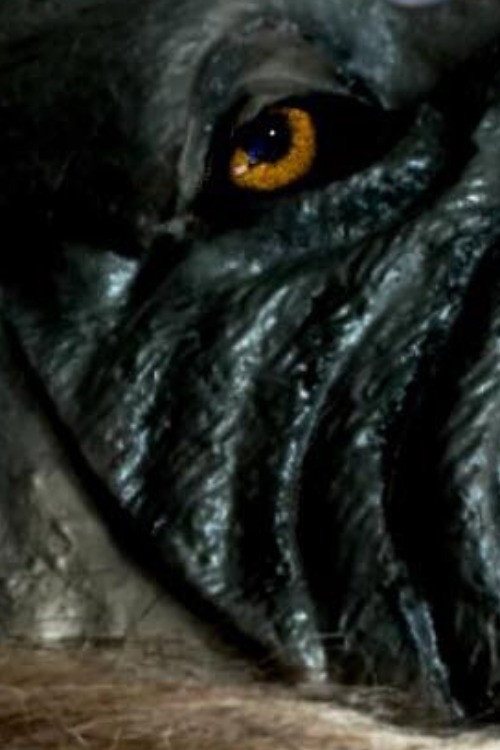 The Werewolf of Chatsford (2018) - film poster