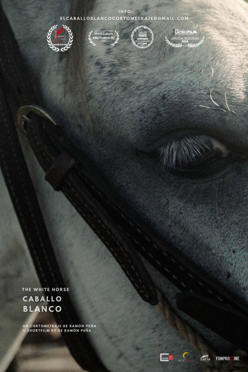The white horse