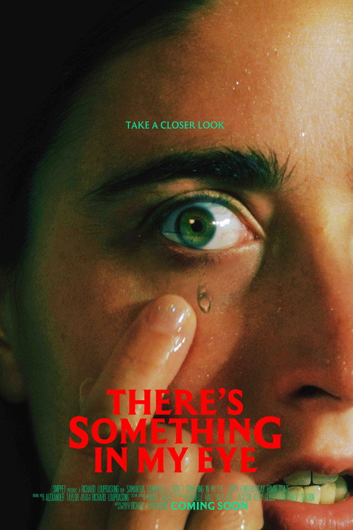 There's Something In My Eye (2025) - film poster