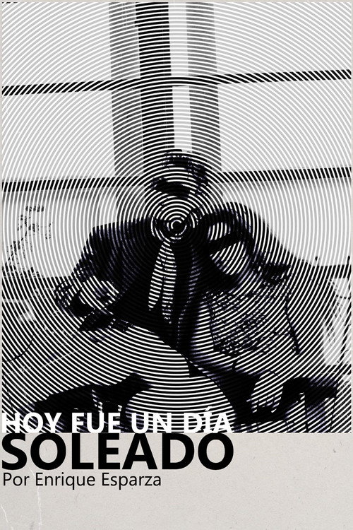 Today Was a Sunny Day (2025) - film poster