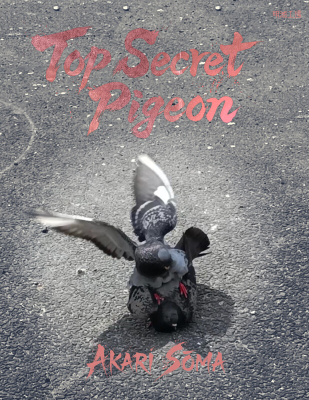 Top Secret Pigeon