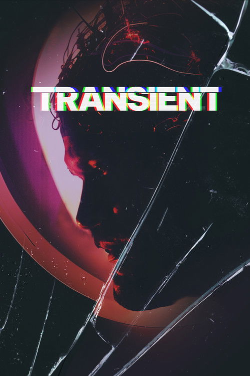 Transient (2024) - film poster