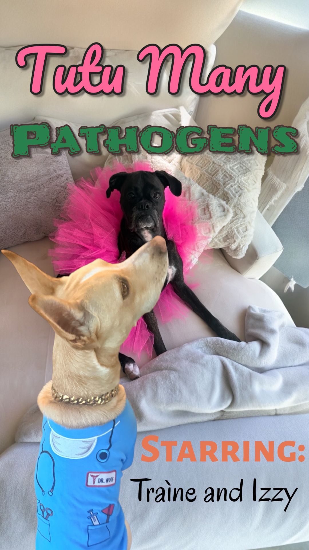 Tutu Many Pathogens - film poster