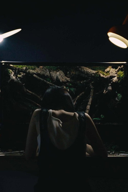 Umwelt (2025) - film poster