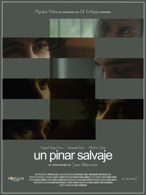 Un pinar salvaje (2023) — film poster, directed by Juan Albarracín