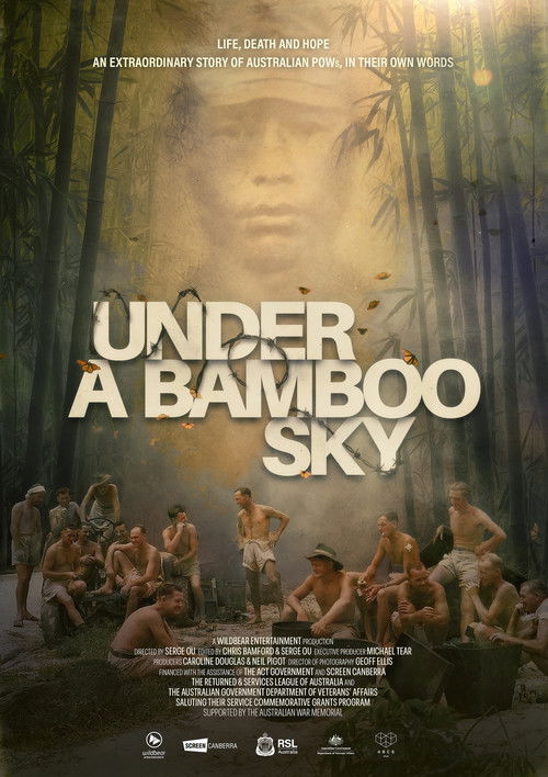 Under a Bamboo Sky (2026) - film poster, directed by Serge Ou