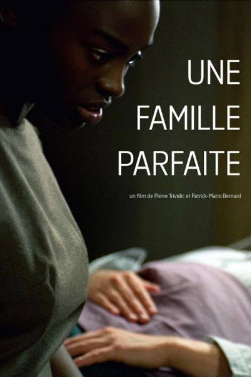Une famille parfaite (2006) - film poster