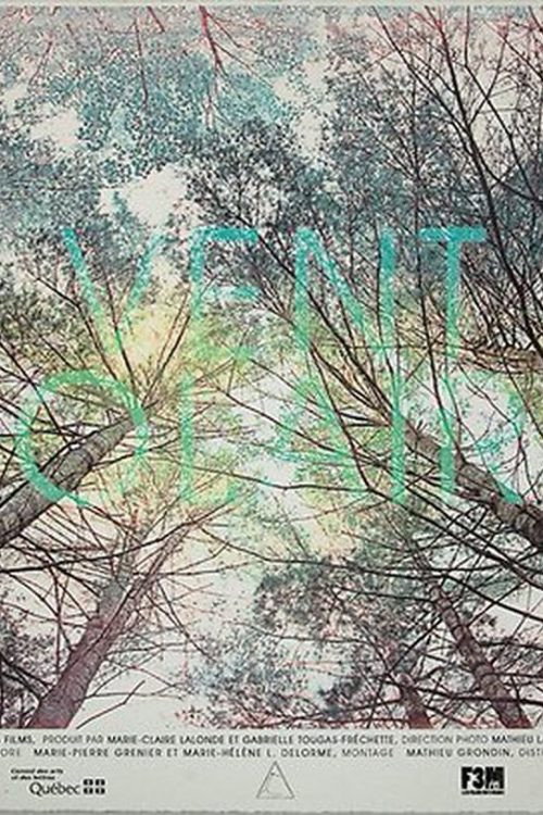 Vent solaire (2011) - film poster, directed by Ian Lagarde
