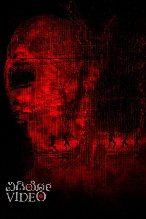 Video (2026) - film poster