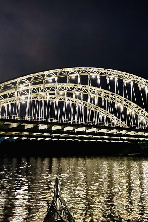 Vimy Bridge (2024) - film poster