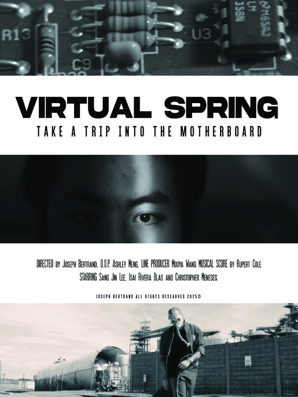 Virtual Spring
