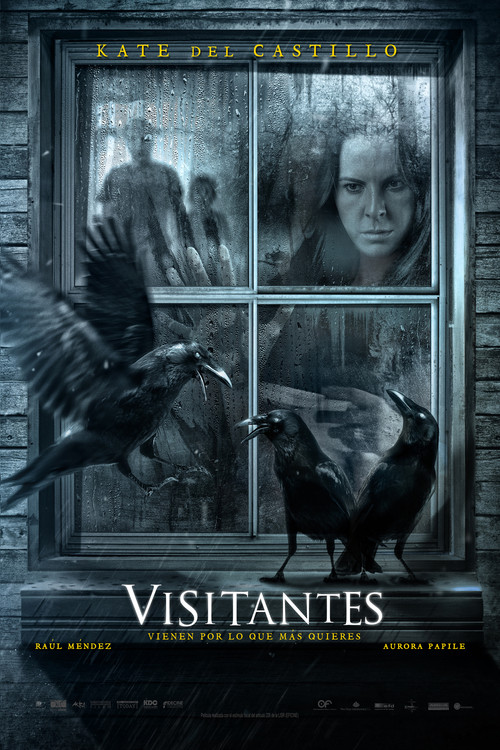 Visitors (2014) - film poster