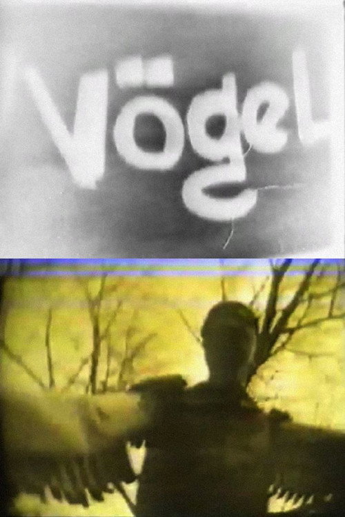 Vögel