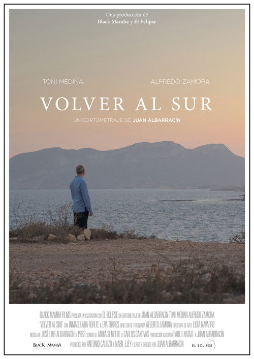 Volver al sur (2021) — film poster, directed by Juan Albarracín