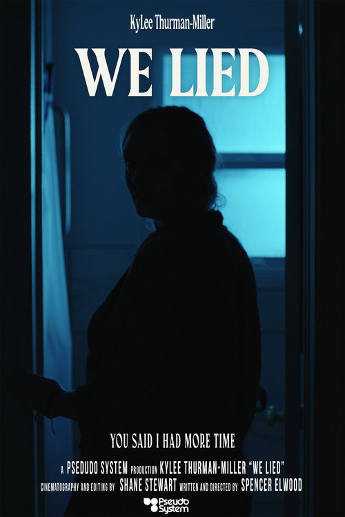 We Lied (2026) - film poster