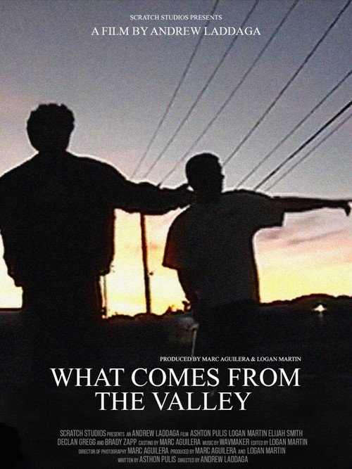 What Comes From the Valley (2026) - film poster