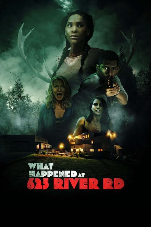 What Happened at 625 River Road? (2023) - film poster
