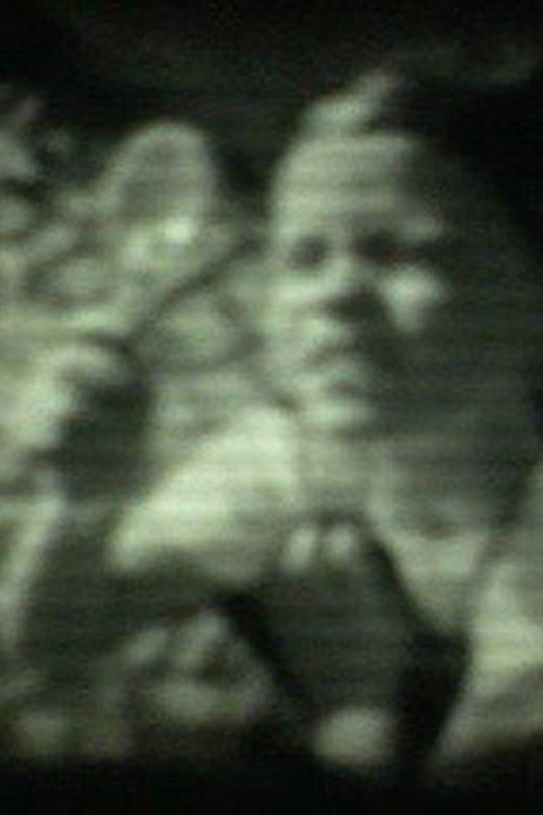 What I Remember (1997) - film poster, directed by Maureen Bradley
