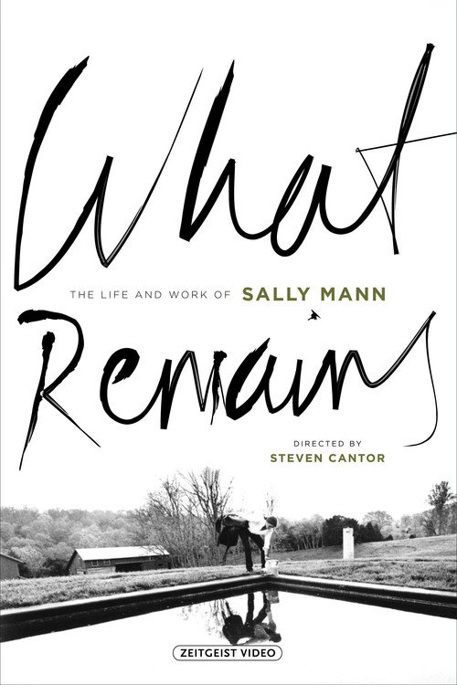 What Remains (2005) - film poster, directed by Steven Cantor