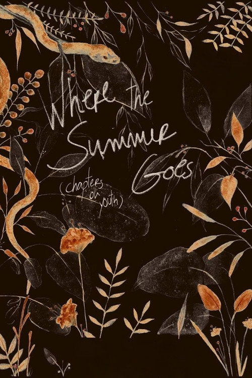 Where the Summer Goes (Chapters on Youth) (2018) — film poster, directed by David Pinheiro Vicente