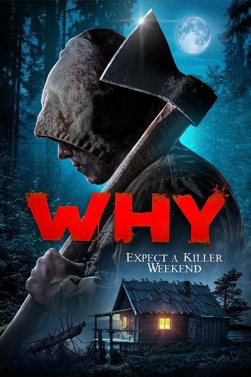 Why? (2021) - film poster