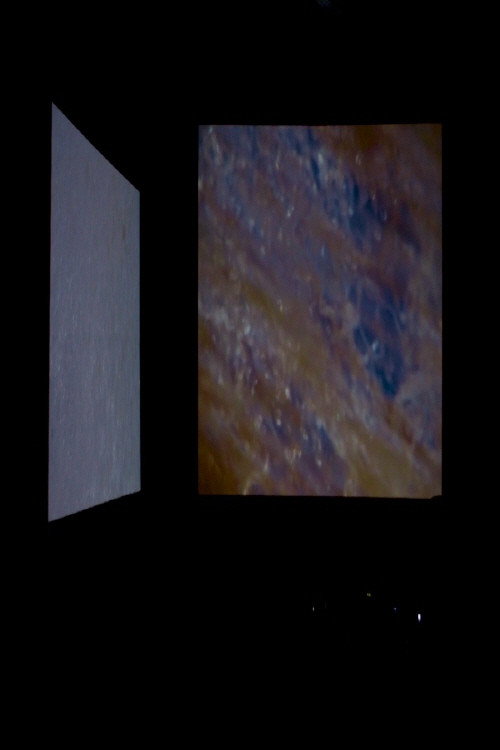 Wildness of Waves (2018) — film poster, directed by Helena Wittmann