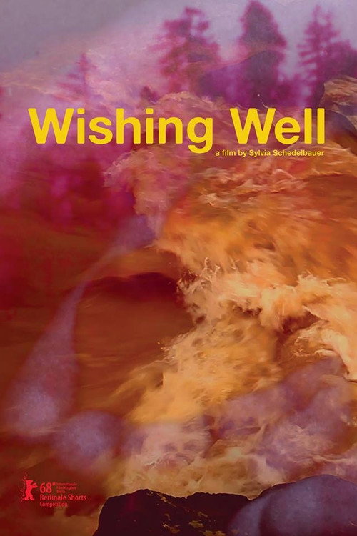 Wishing Well (2018) — film poster, directed by Sylvia Schedelbauer