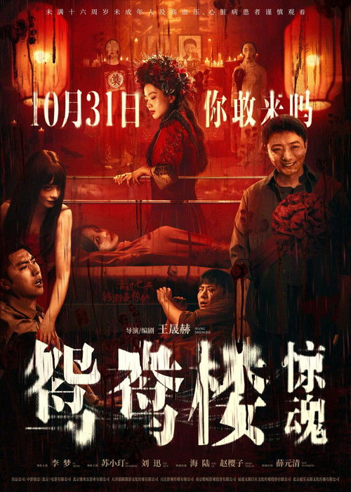 Yin Yang Mansion (2024) - film poster