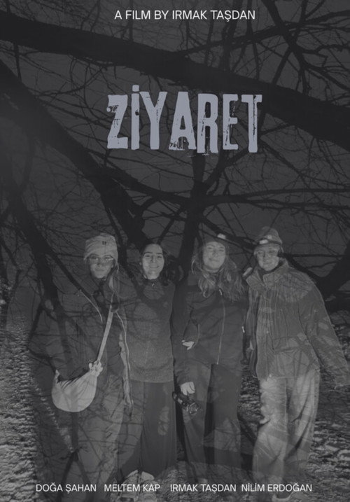 Ziyaret (2026) - film poster