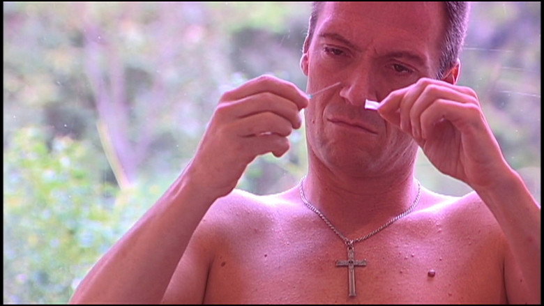 29 Needles