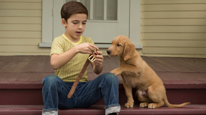 A Dog's Purpose